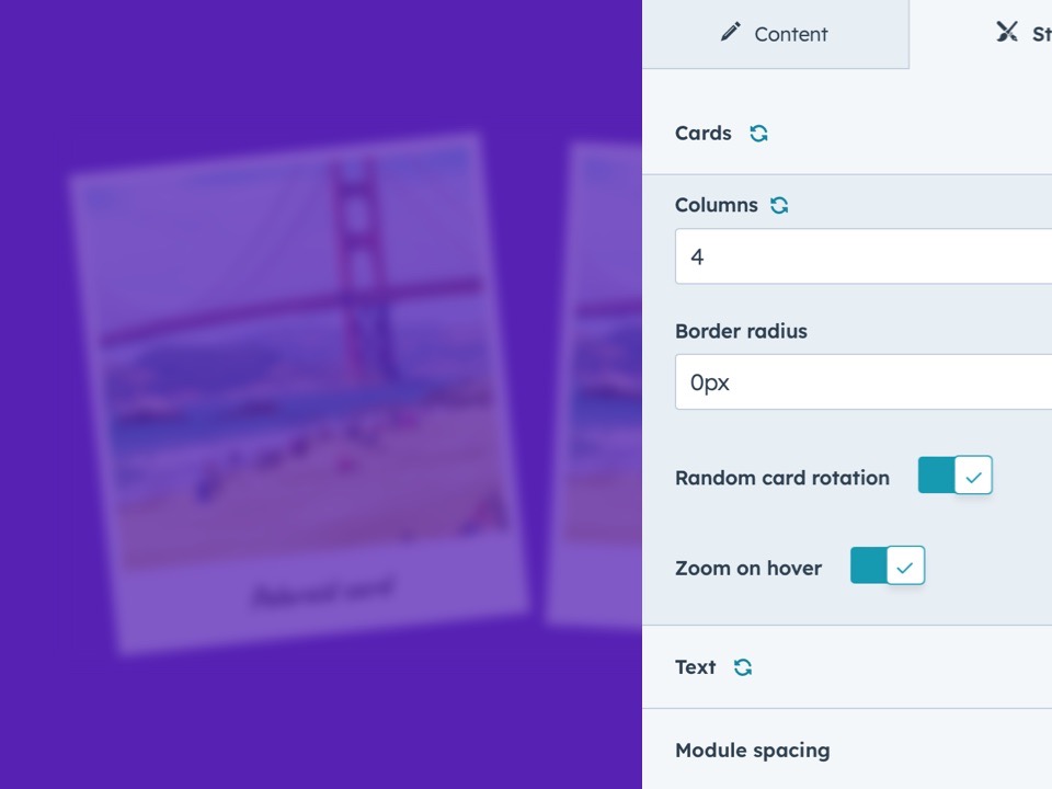 Customization Options